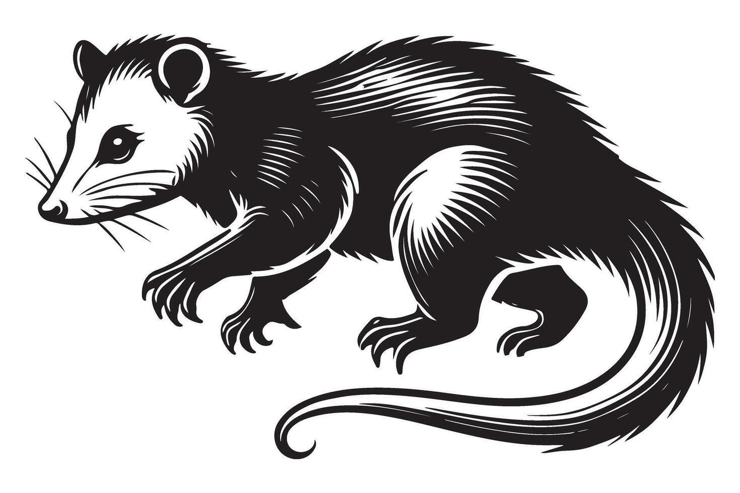 Opossum Illustration Wild Animal Silhouette Nocturnal Creature and Marsupial Artwork vector