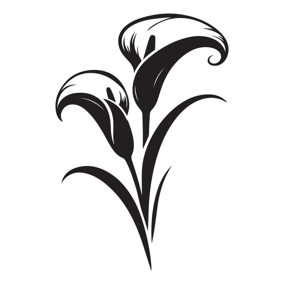 Elegant Calla Lily Flowers Silhouette Illustration for Floral Design Projects vector