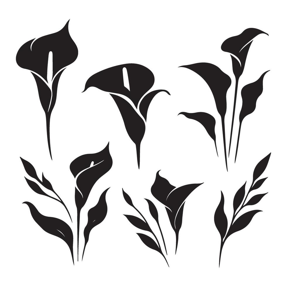 Elegant Silhouette Illustration of Calla Lily Flowers and Leaves Set vector