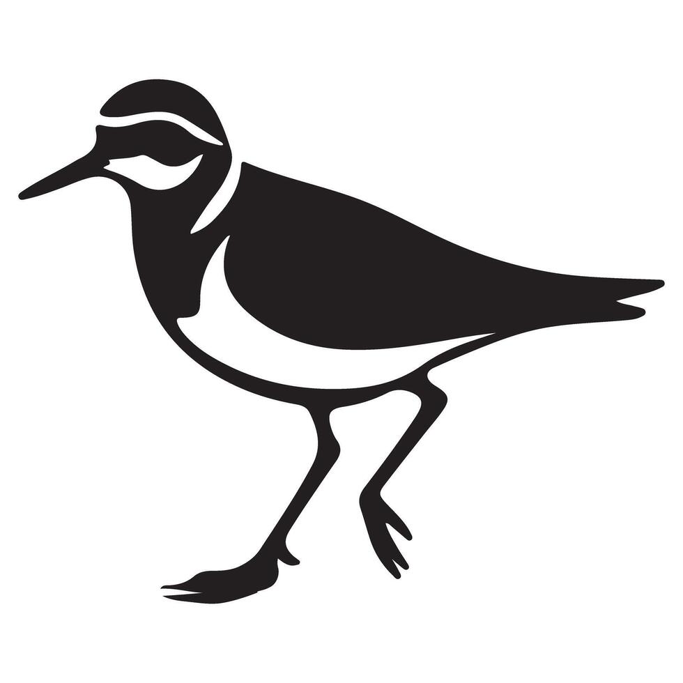 Elegant Illustration Of Killdeer Bird Art Design For Ornithology vector