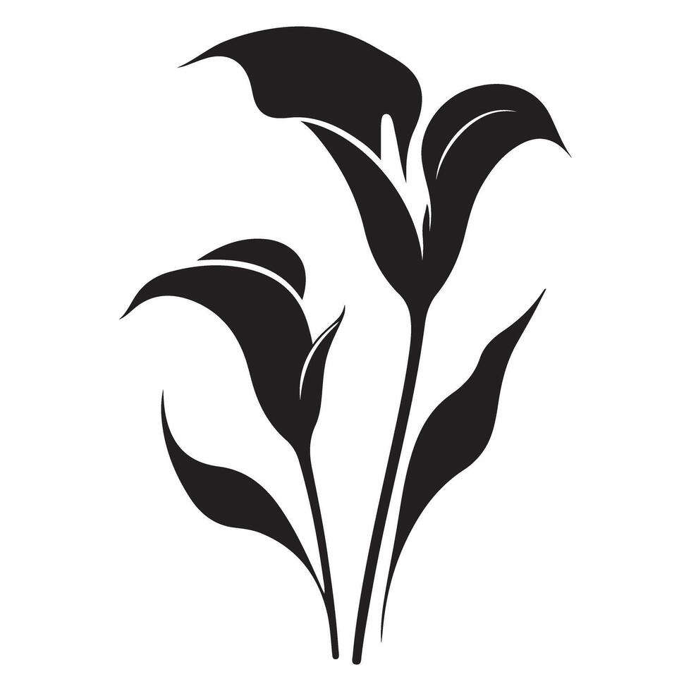 Dark Calla Lily Flower Silhouette Illustration For Artistic Projects vector