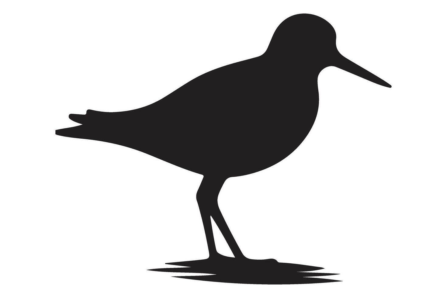 Shorebird Silhouette Art An Elegant Design for Nature Lovers vector