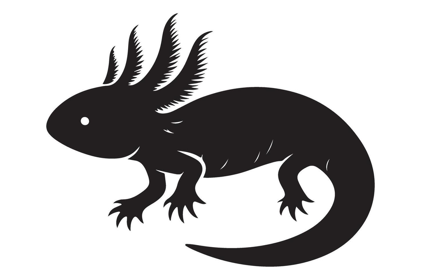 Axolotl Illustration Aquatic Salamander Graphic Design Element vector