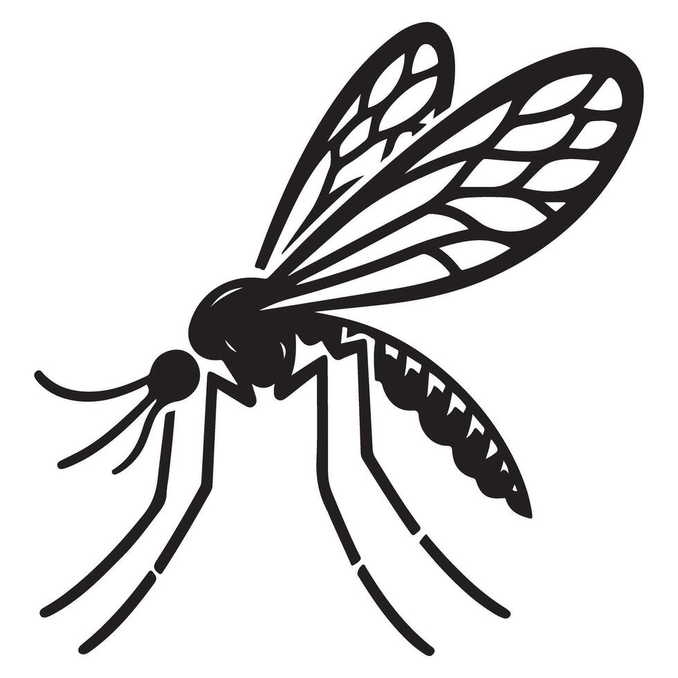 Annoying Mosquito Illustration How to Prevent Mosquito Bites vector