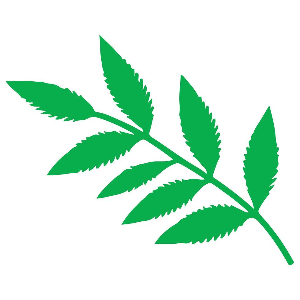 Green Leaf Illustration Symbolizing Nature Freshness and Growth vector
