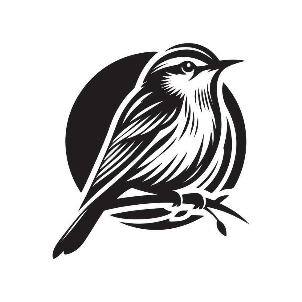 Black Bird Warbler for Projects vector