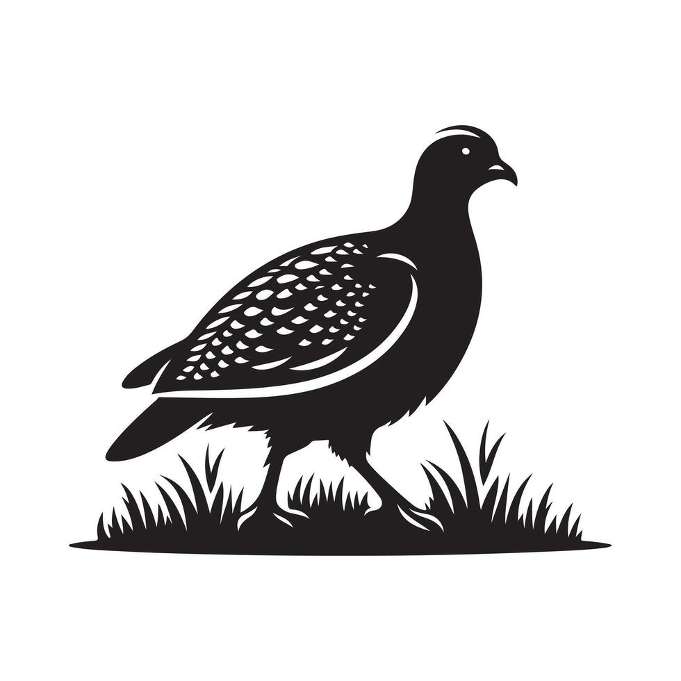 Sandgrouse Black Silhouette for Print Projects vector