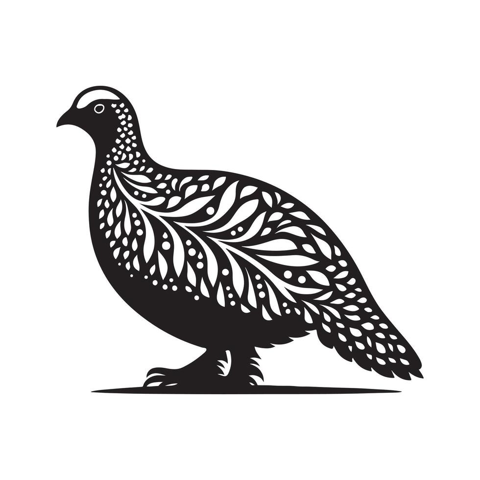 Black Sandgrouse Image for Designers vector
