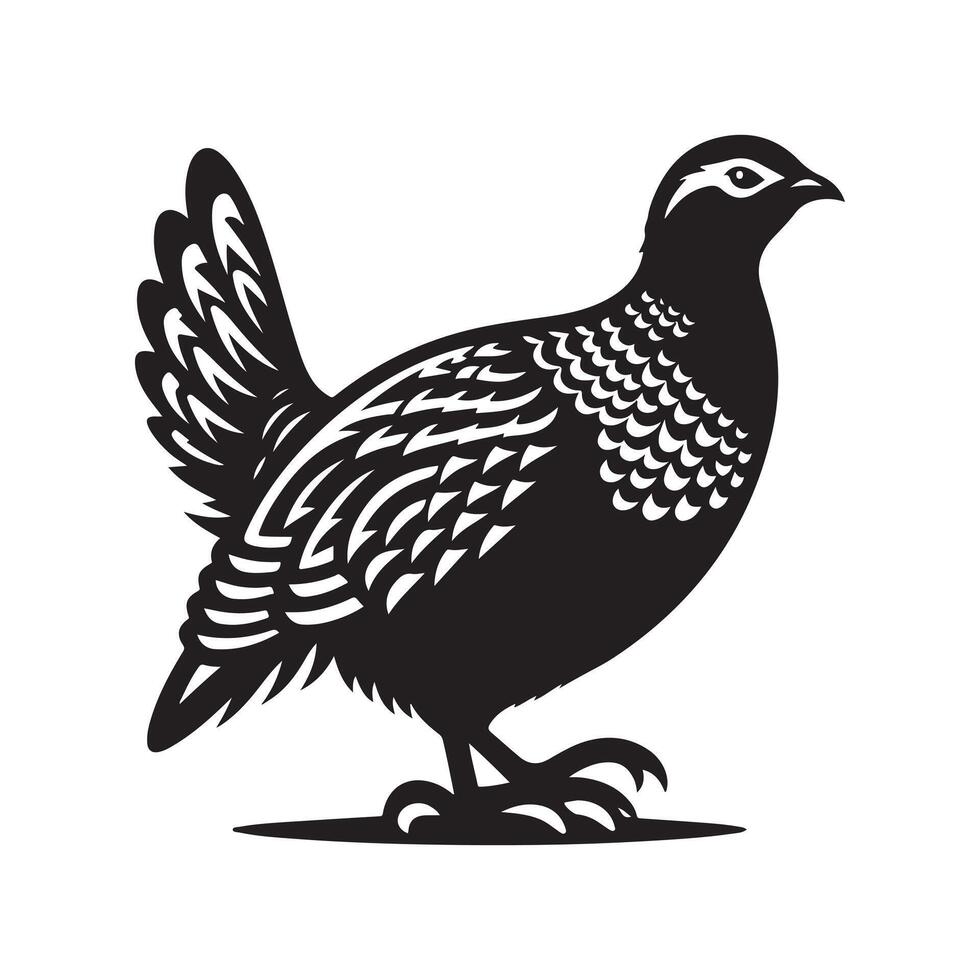 Black Sandgrouse Silhouette for Printing vector
