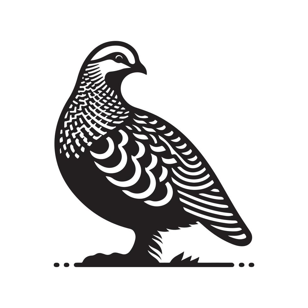 Sandgrouse Black Silhouette for Branding vector