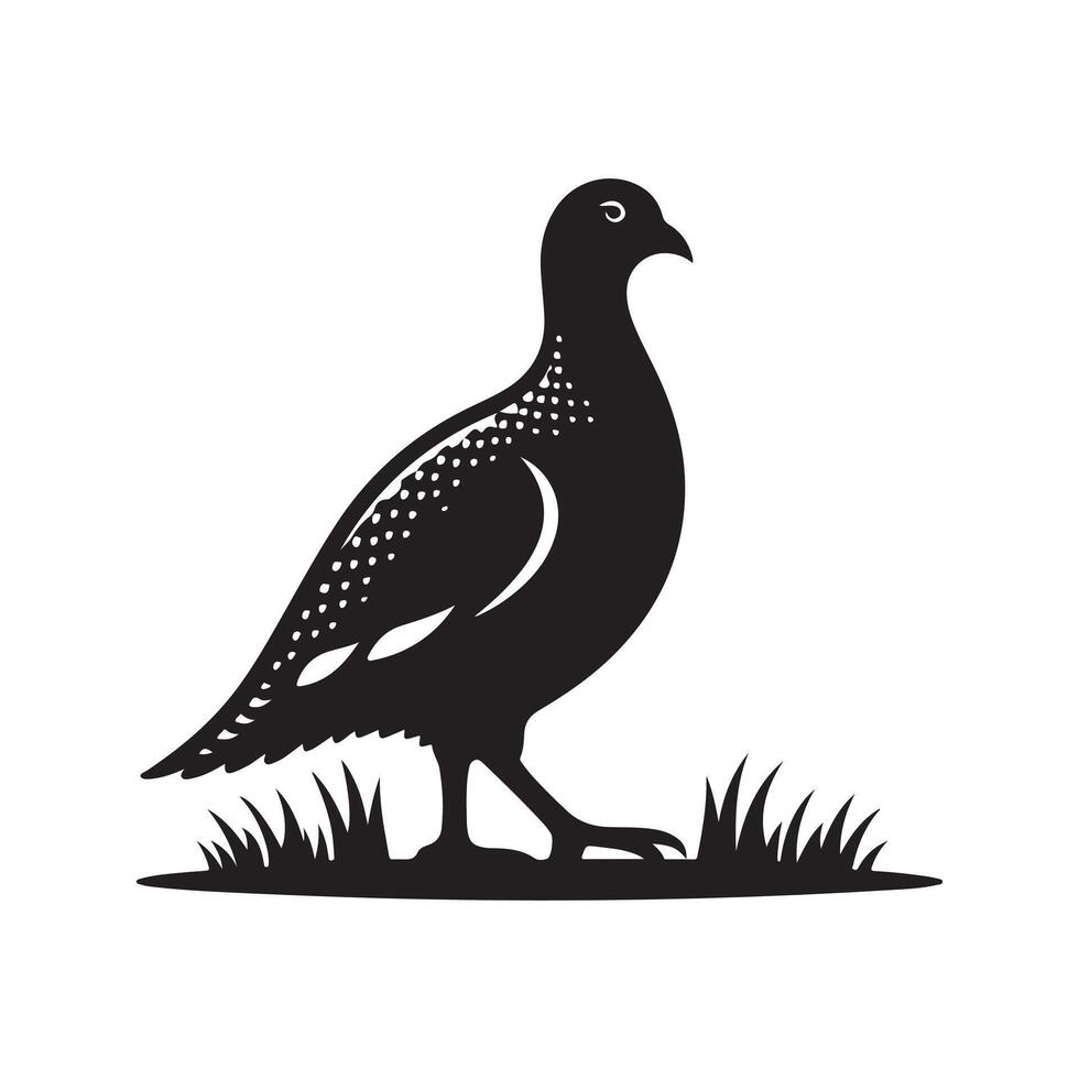Black Sandgrouse Silhouette for Digital Art vector