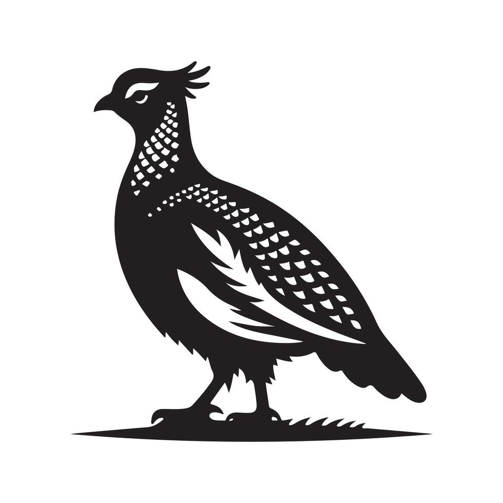 Sandgrouse Black Silhouette for Graphics vector
