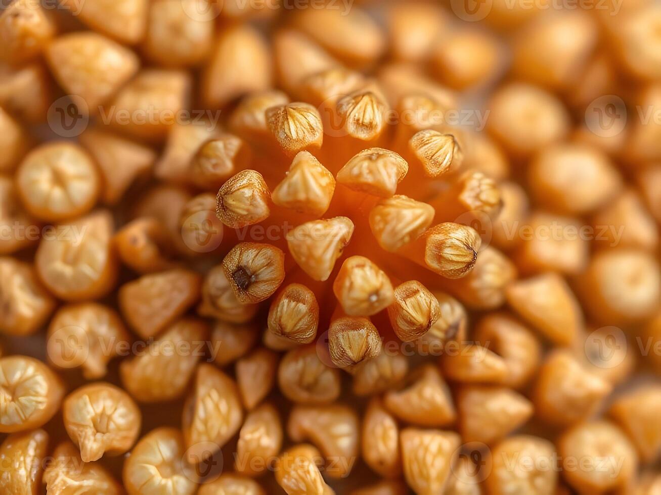 A close up of a bunch of dried fruit photo