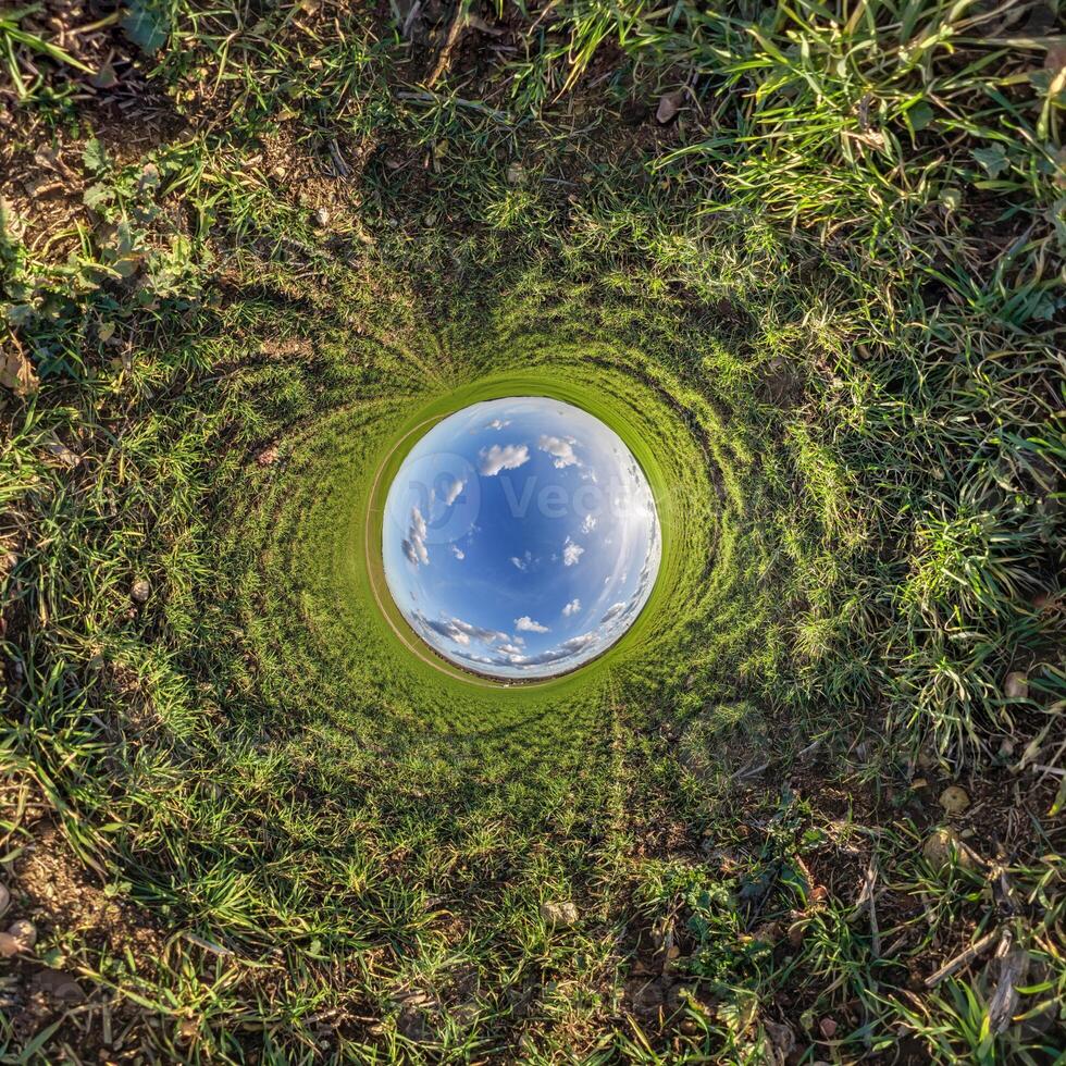 A circular view of a grassy field with a sky in the middle photo