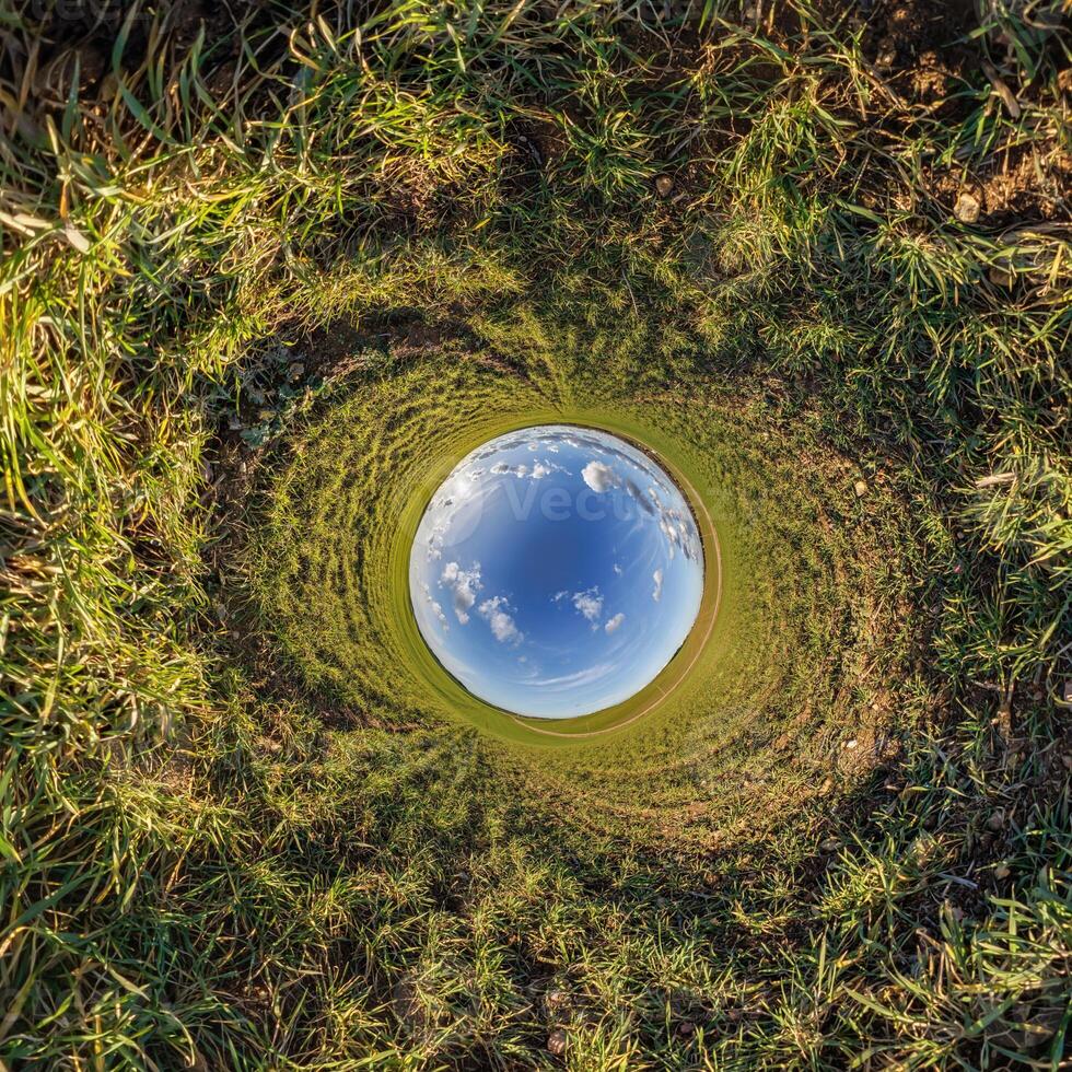 A view of the earth from inside a hole photo
