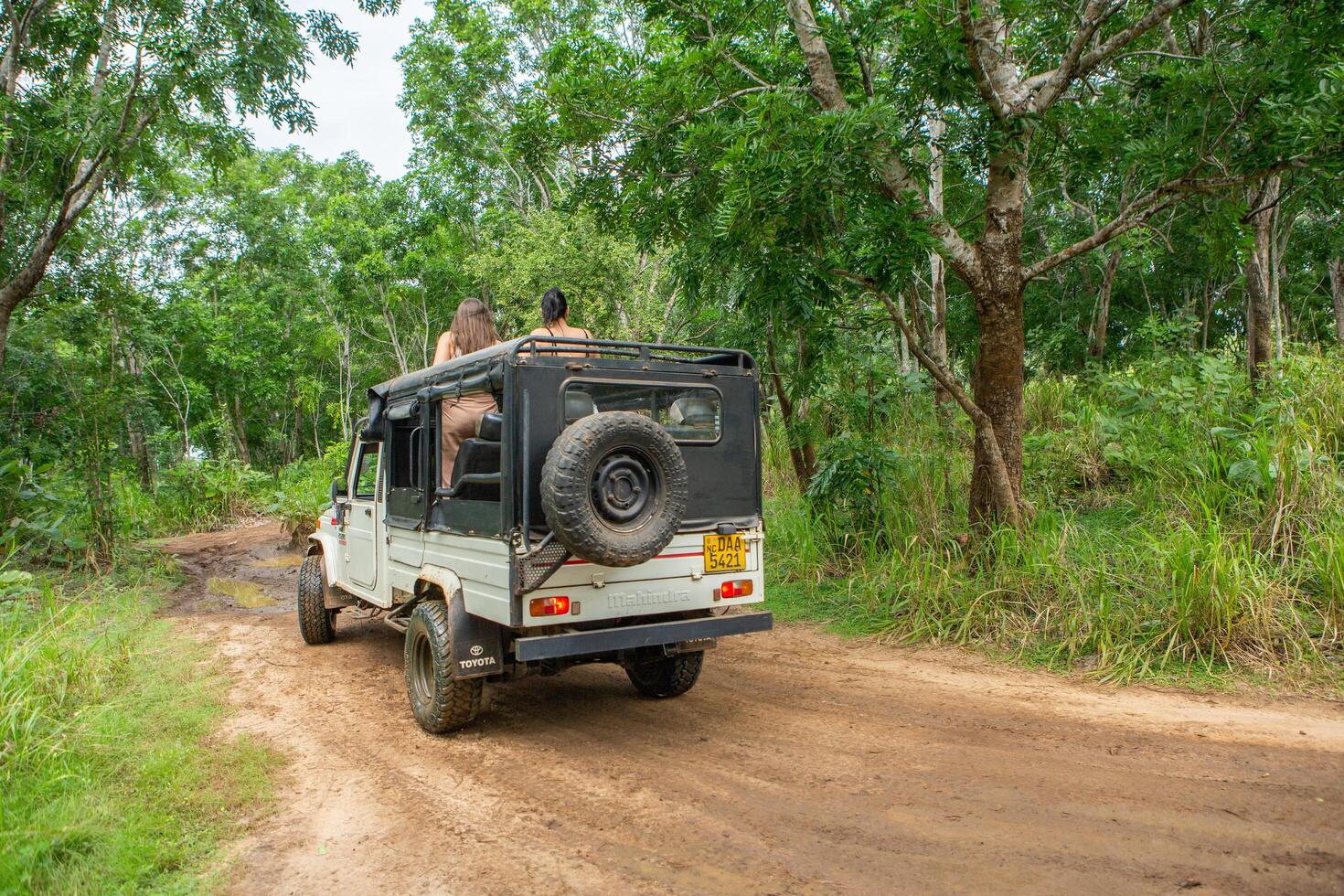 Kataragama, Sri Lanka, 11 january 2025 Safari jeep driving through the lush jungles of Sri Lanka photo