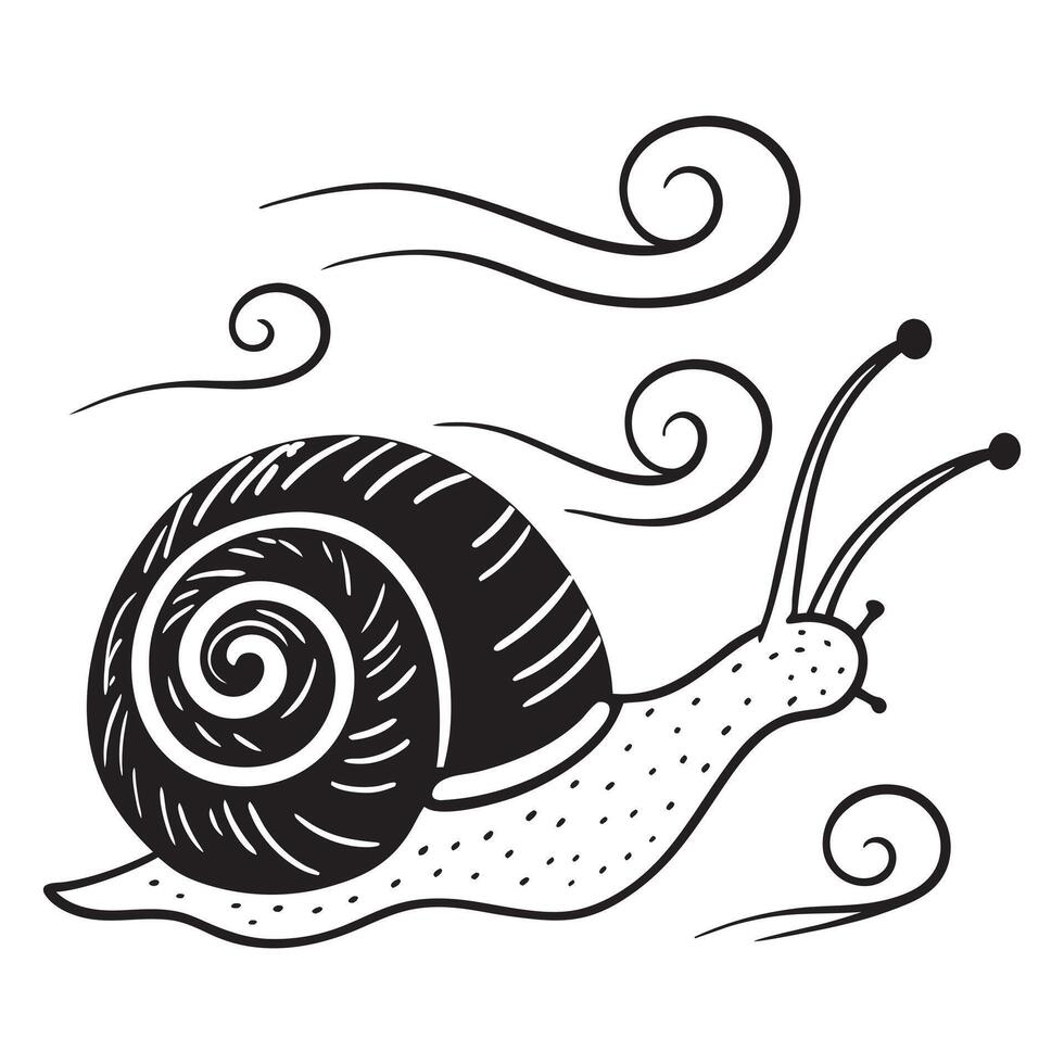 Beautiful Snail Animal Illustration for Art Design vector