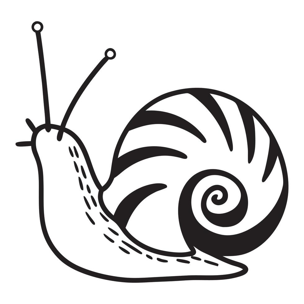 Snail Animal Illustration for Digital Art Project vector