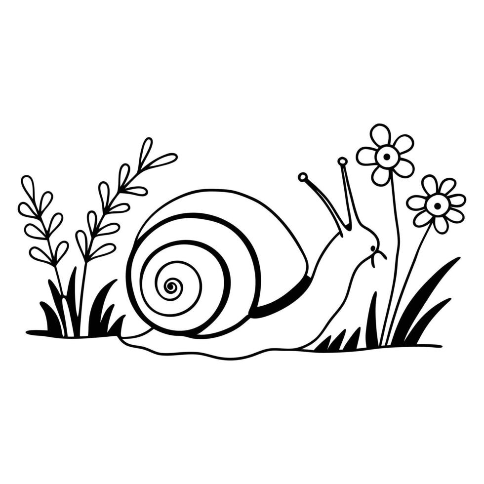 Snail Animal Design with Floral Art for Sublimation vector