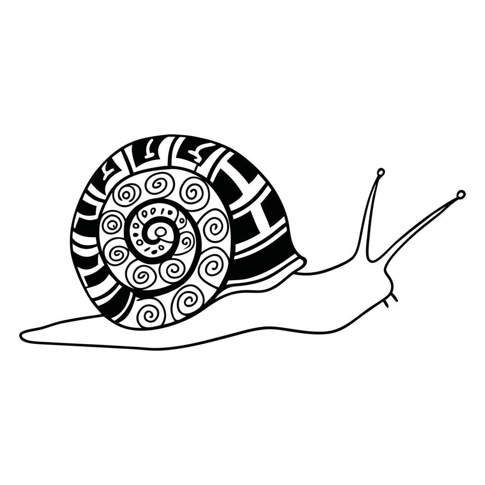 Snail Animal Design for Personal Art Project vector