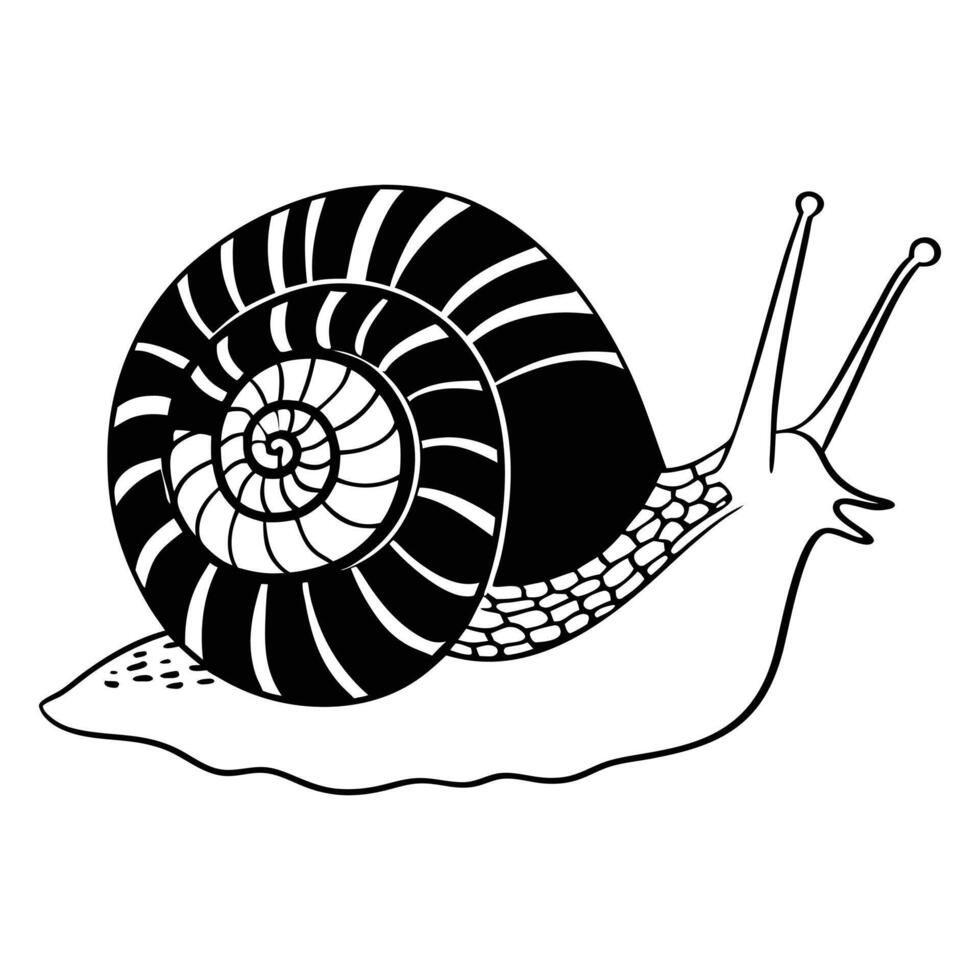 Snail Clipart Design Featuring Nature Scene Illustration vector