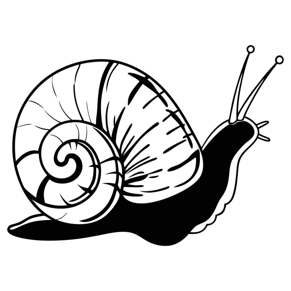 Land Snail and Nature Scene Clipart for Graphic Projects vector
