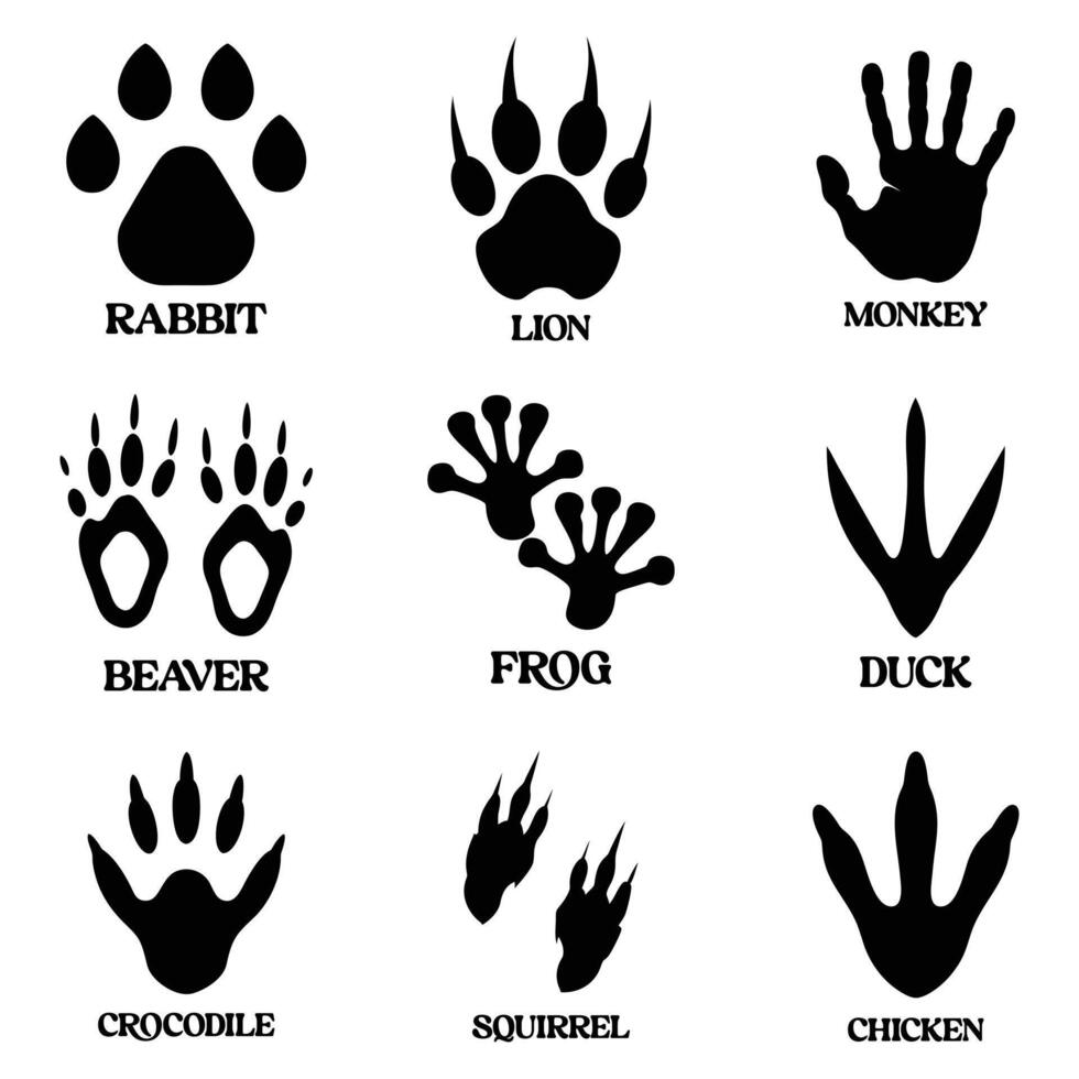 Collection of Animals footprint Silhouette illustration, Animal foot print silhouette design vector