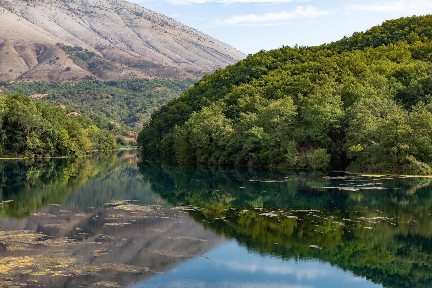 wild nature in Albania photo