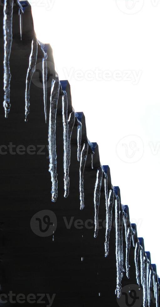 Drops falling from melting icicles on a dark background with empty space for titles or inscriptions photo