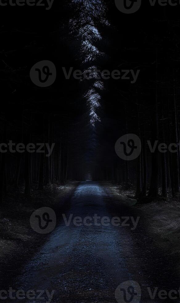 Eerie Pathway Through a Mystical Forest under Moonlight, A Place of Deep Unease photo