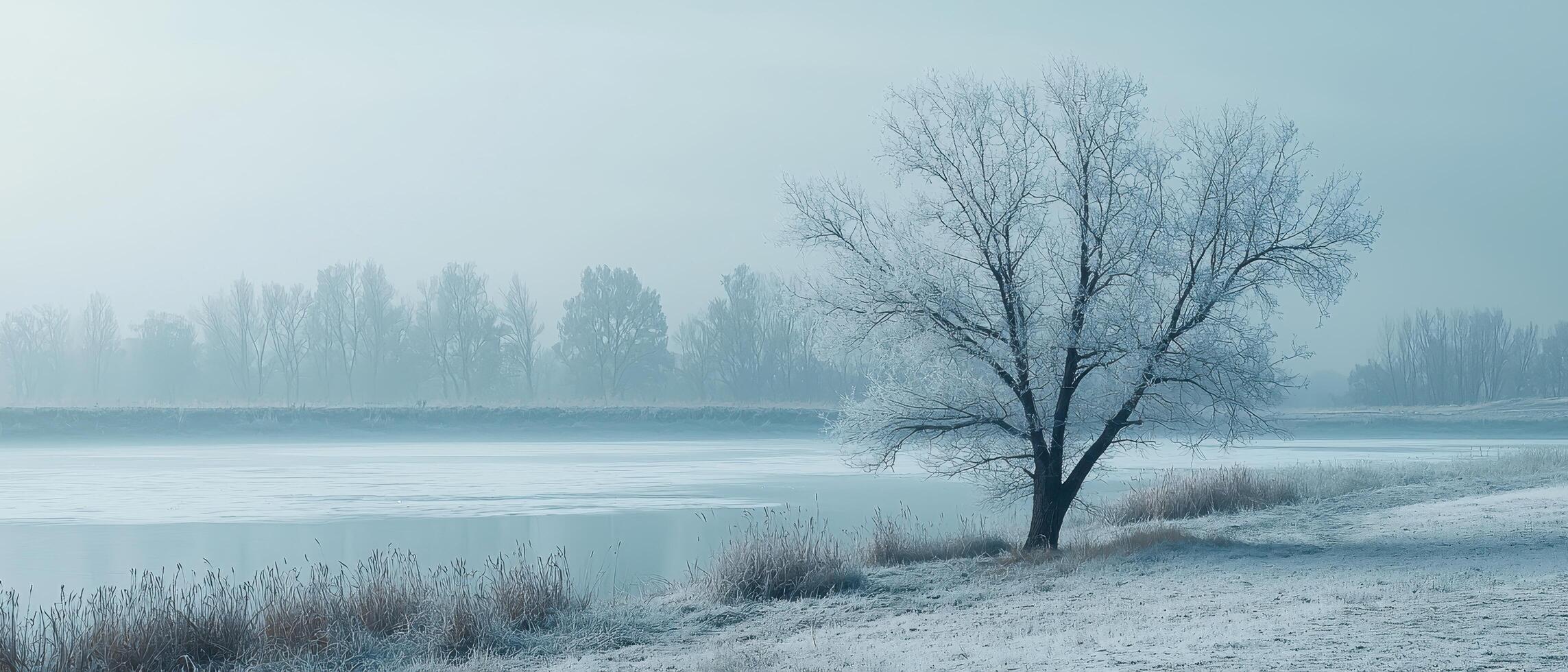 Winter serenity frozen landscape with tree nature scene frosty environment minimalist viewpoint blue tones photo