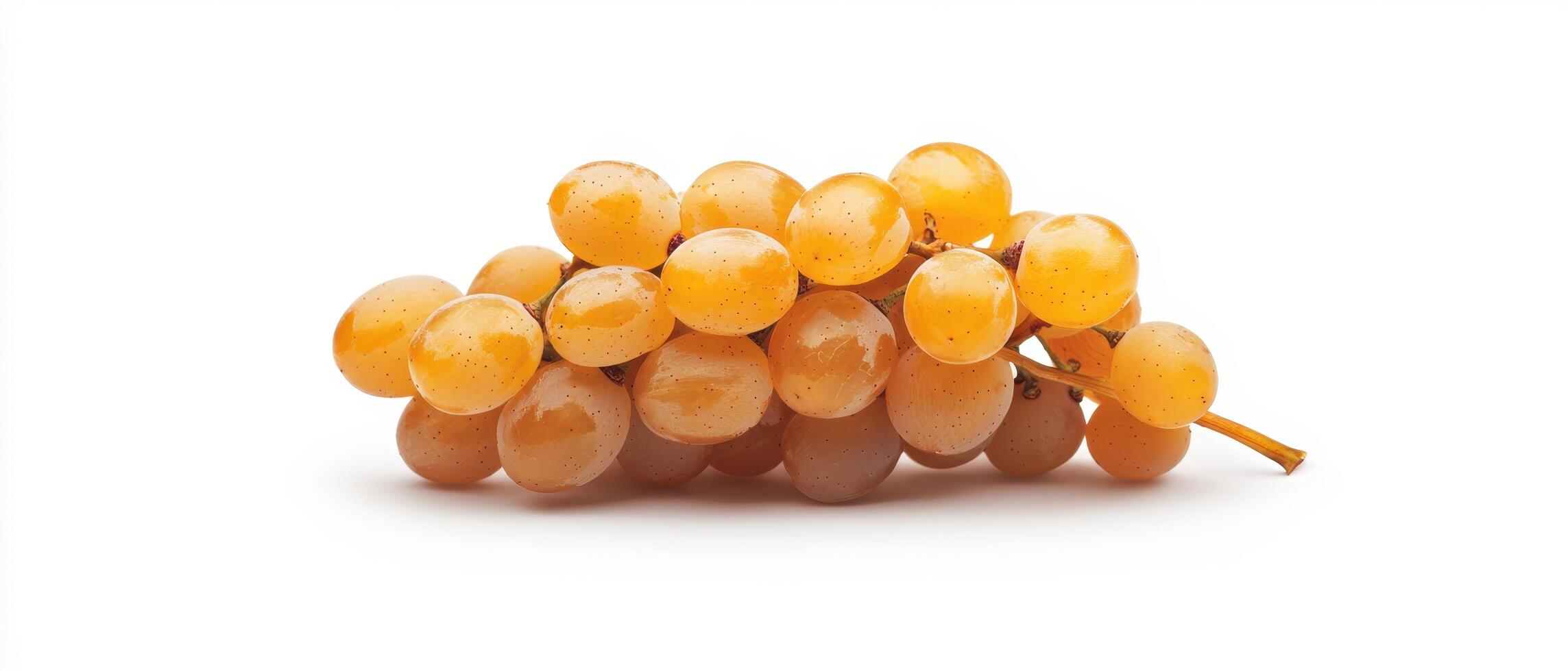 Harvesting sweet organic dry grapes farm food product sunny environment close-up view natural produce photo