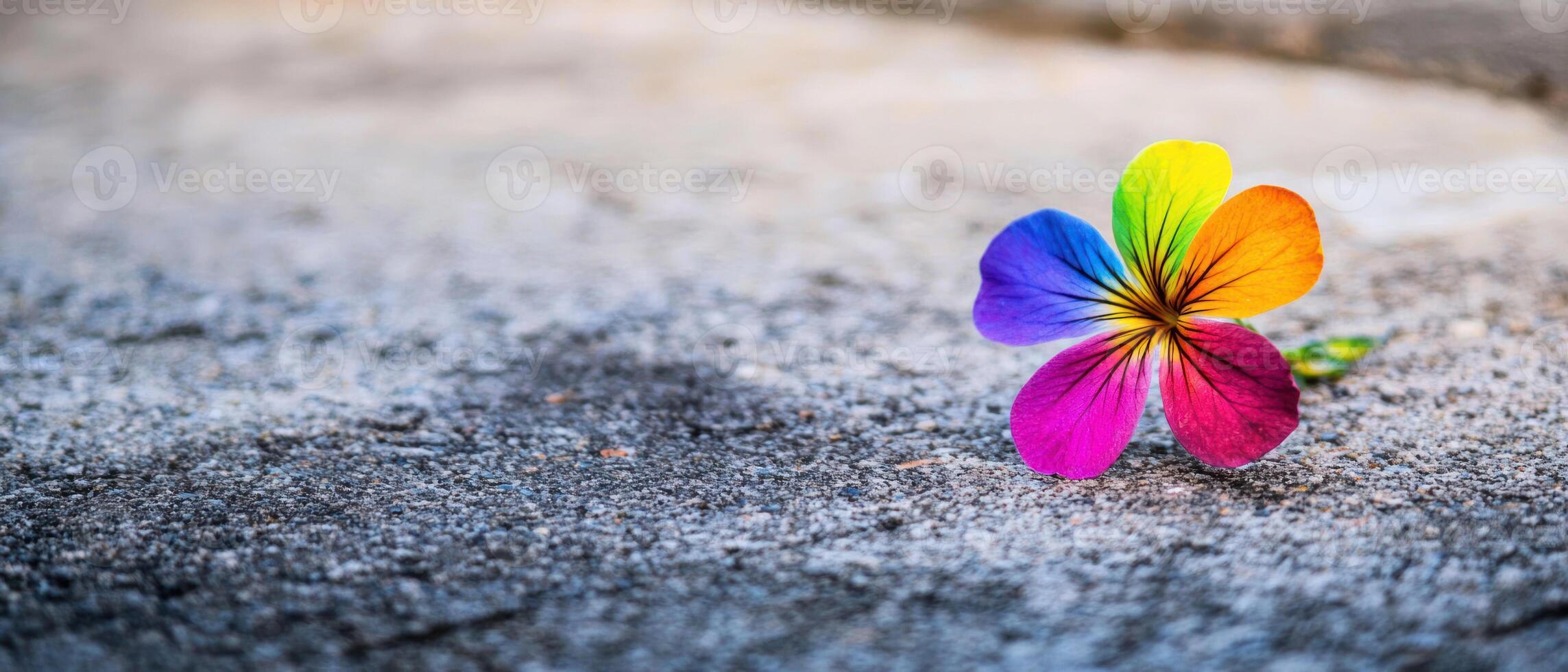vibrant rainbow colored flower blooms from concrete, symbolizing hope and growth. This captures essence of rights activism and photo