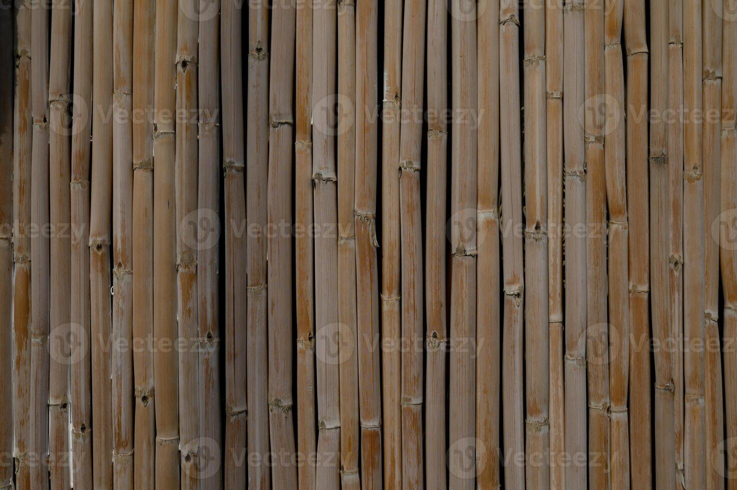 Natural beauty of bamboo planks creating a rustic wall in serene environment photo