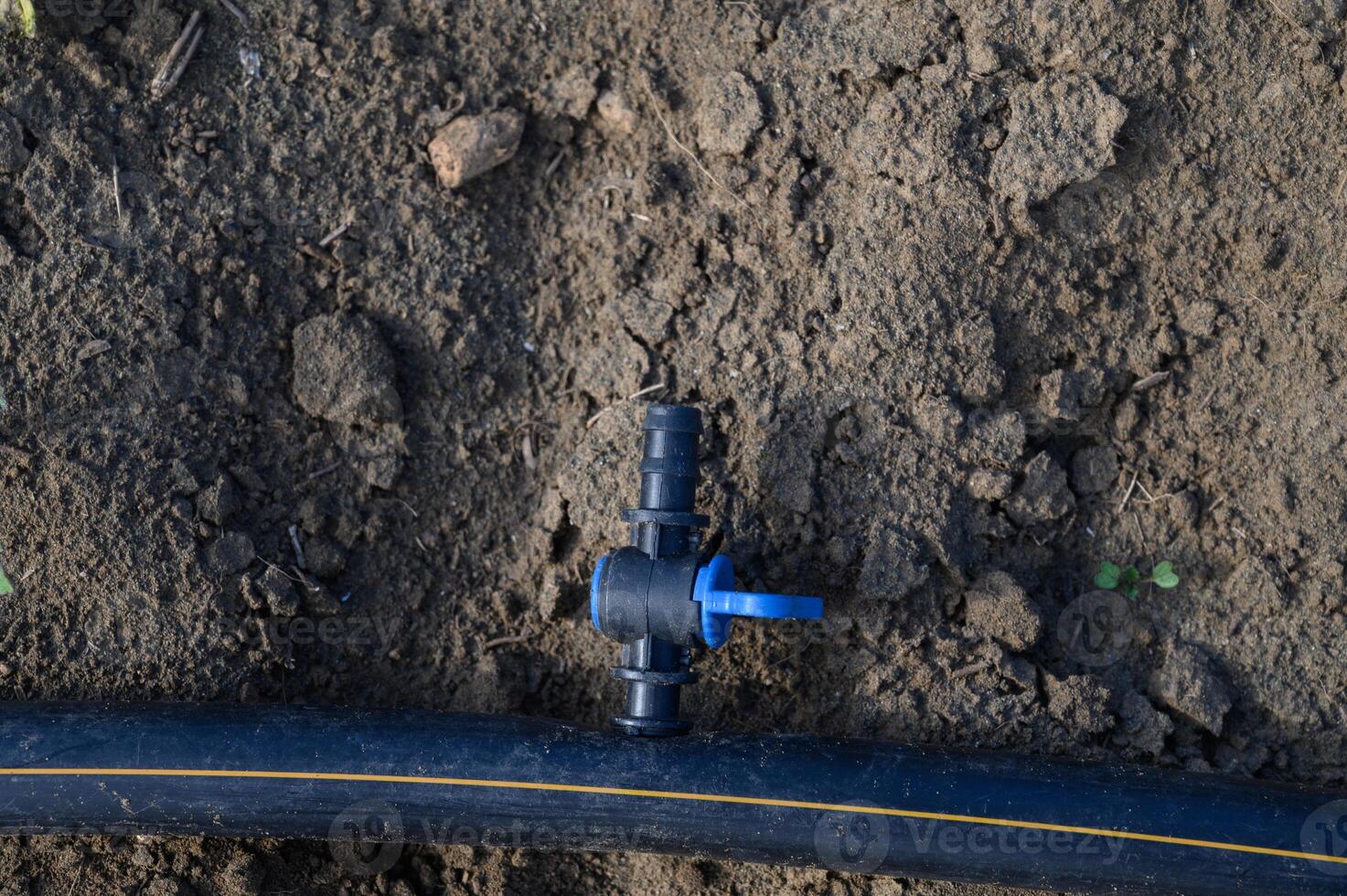 Farmers use modern irrigation system to optimize water usage in arid land during midday sunlight photo
