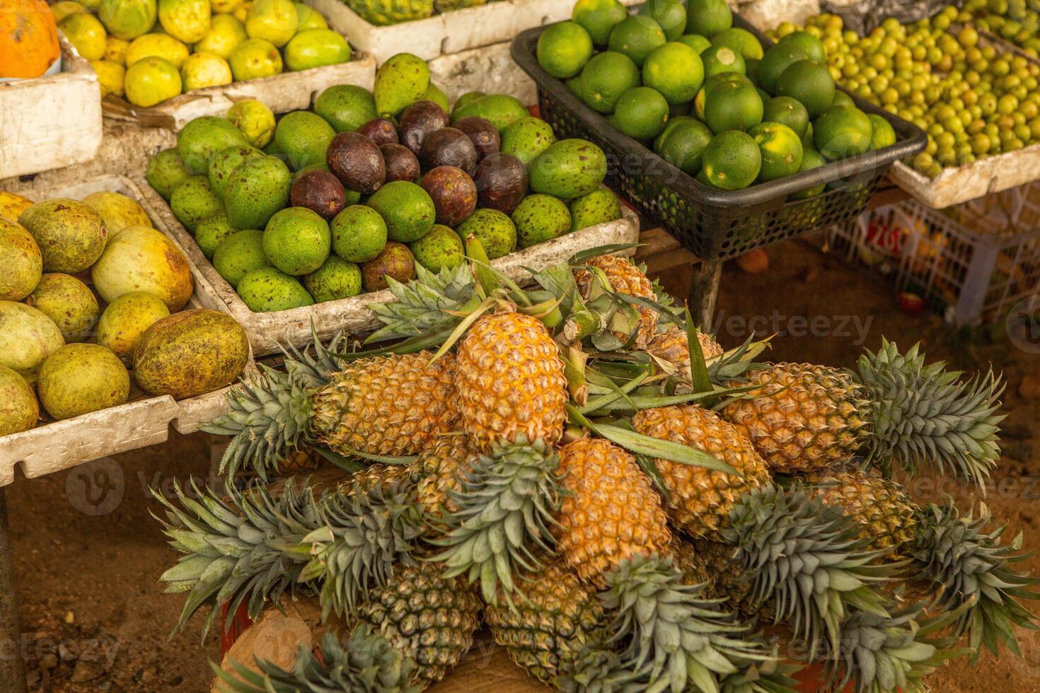 an pineapple fruit stall in the winter season at the local market in sri lanka, asia photo