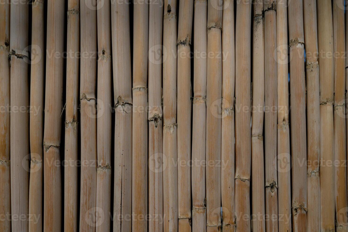 Bamboo wall texture creates a serene backdrop for a peaceful retreat setting photo
