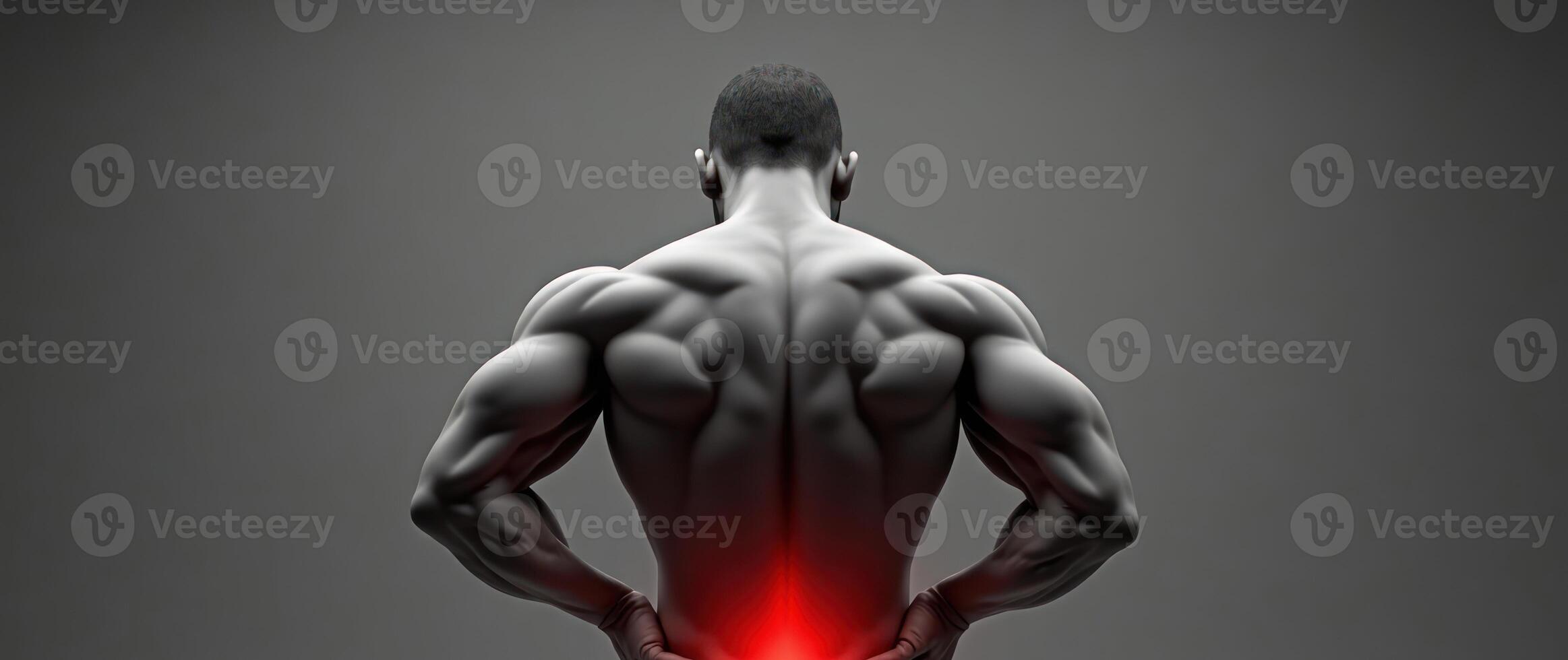 Back view of a muscular athlete with highlighted back pain in a realistic illustration. photo