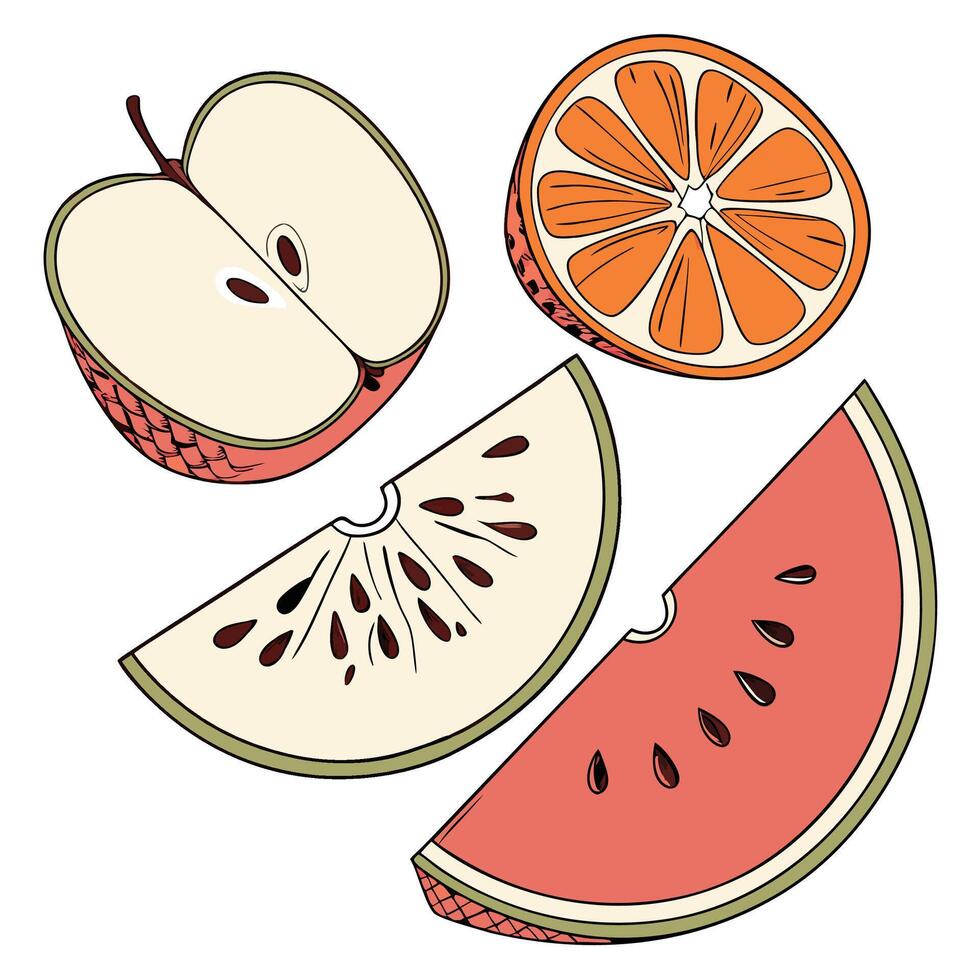 a slice of watermelon, an orange and a slice of apple vector