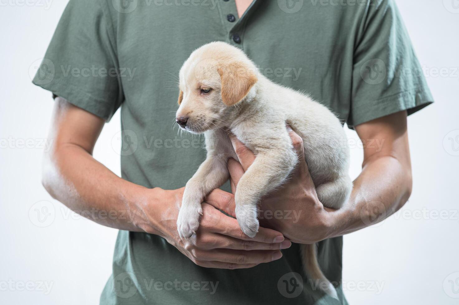Cute puppy being held by a person in casual clothing indoors photo