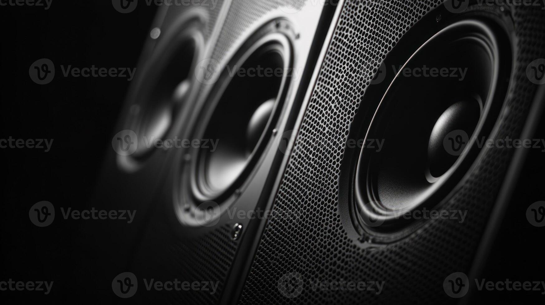 Close-up of Black Speaker with Circular Grille and Driver photo