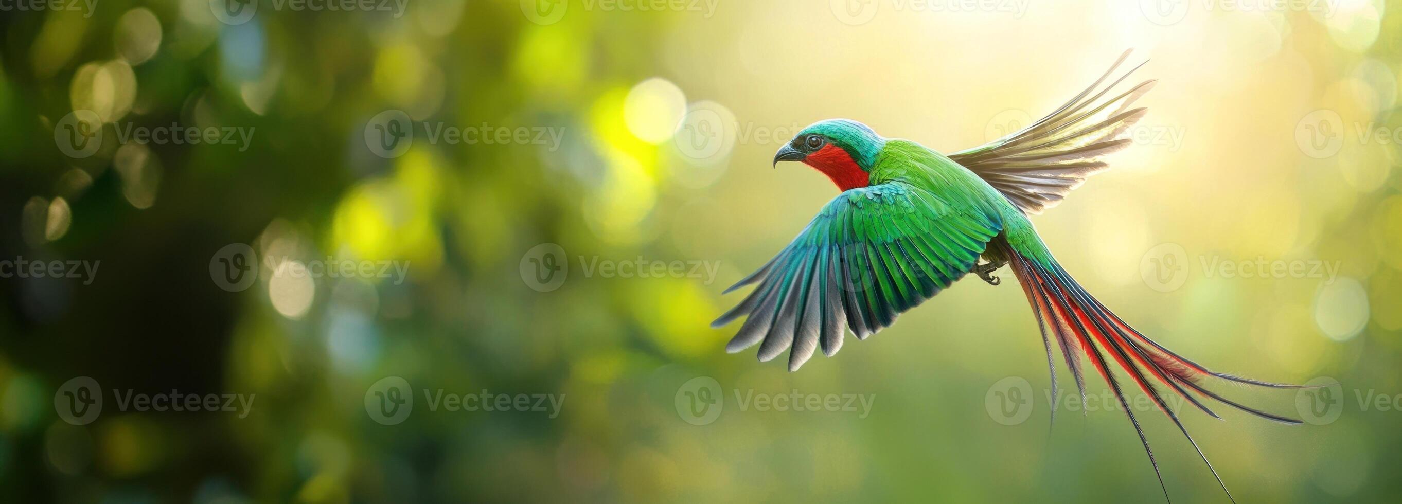 A Green and Red Bird in Flight Against a Bokeh Background photo