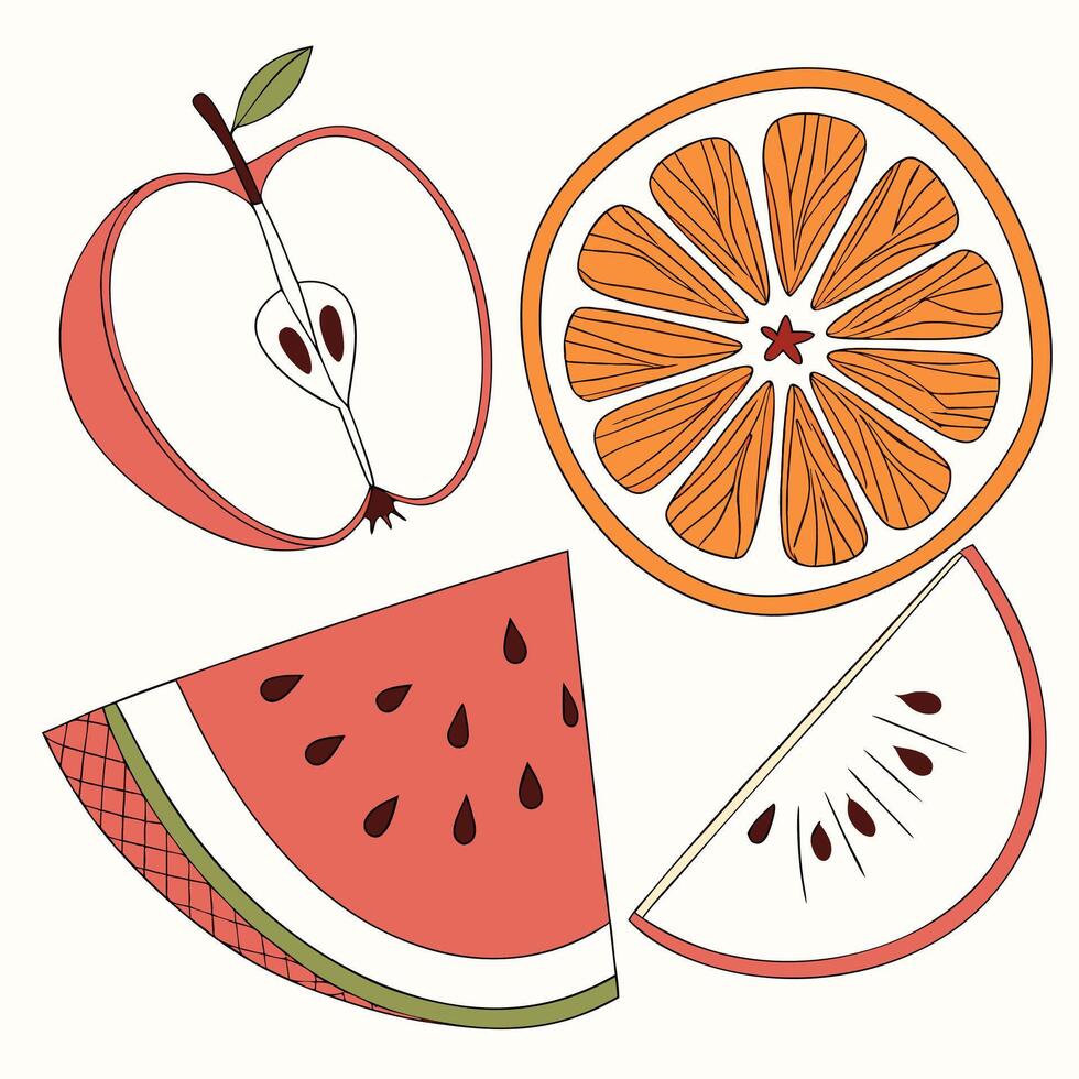 a set of fruit slices and an orange vector