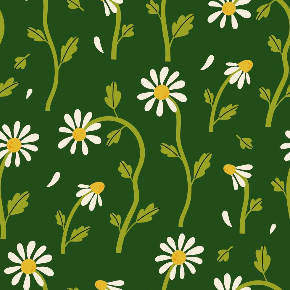 Simple seamless pattern with daisies on a dark green background. graphics. vector