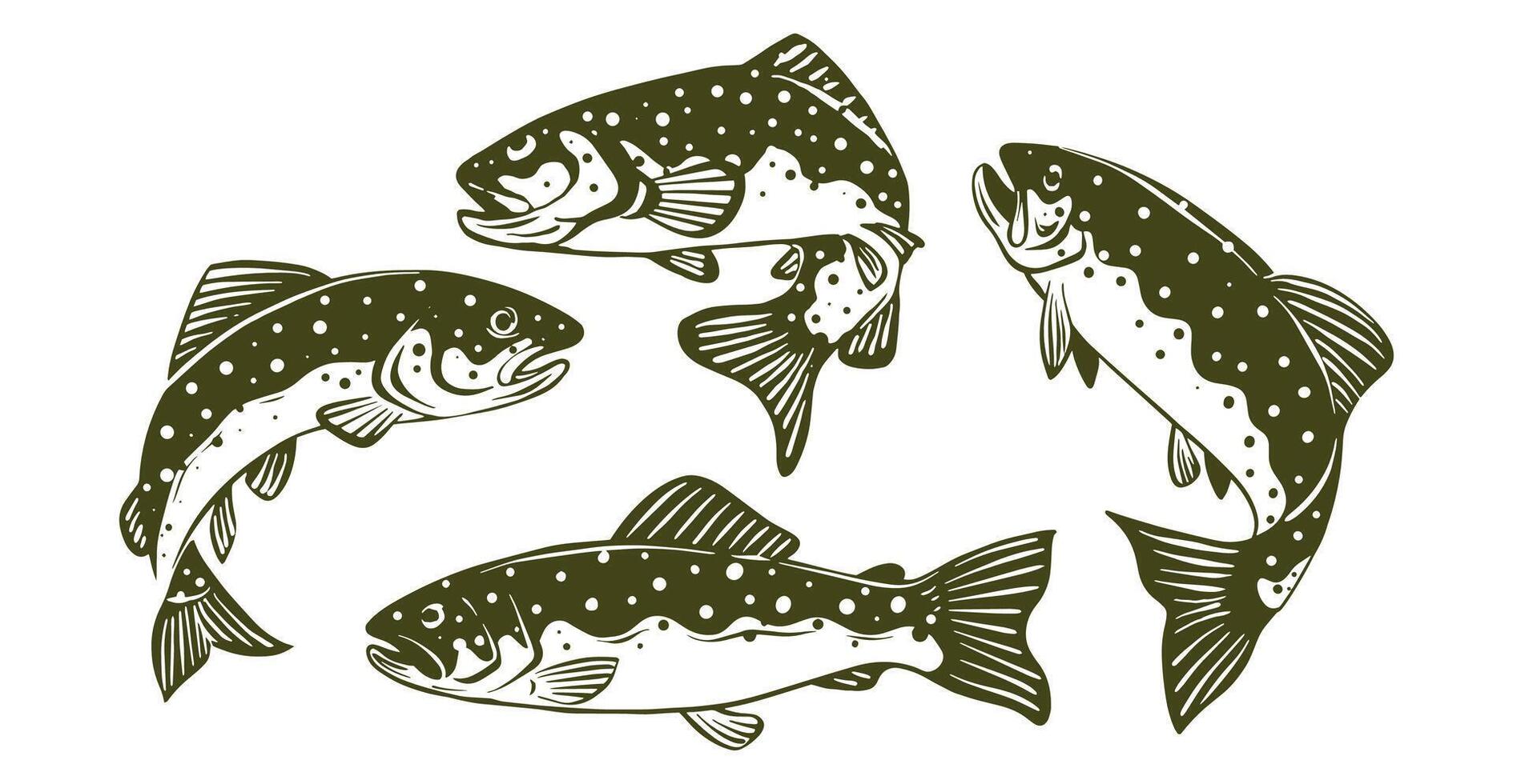 illustration of trout in various poses vector
