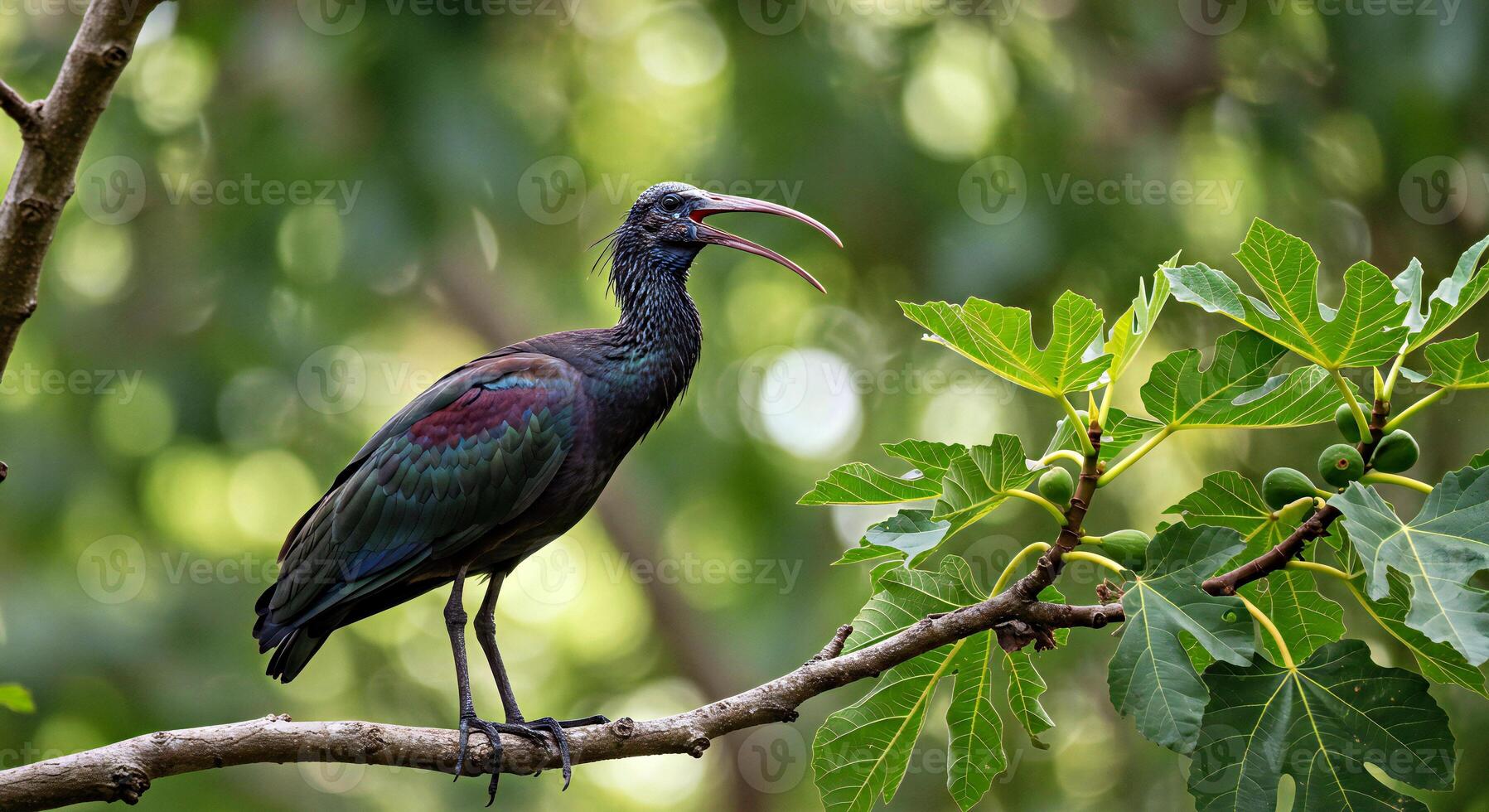 A bird with a long beak on a tree branch photo