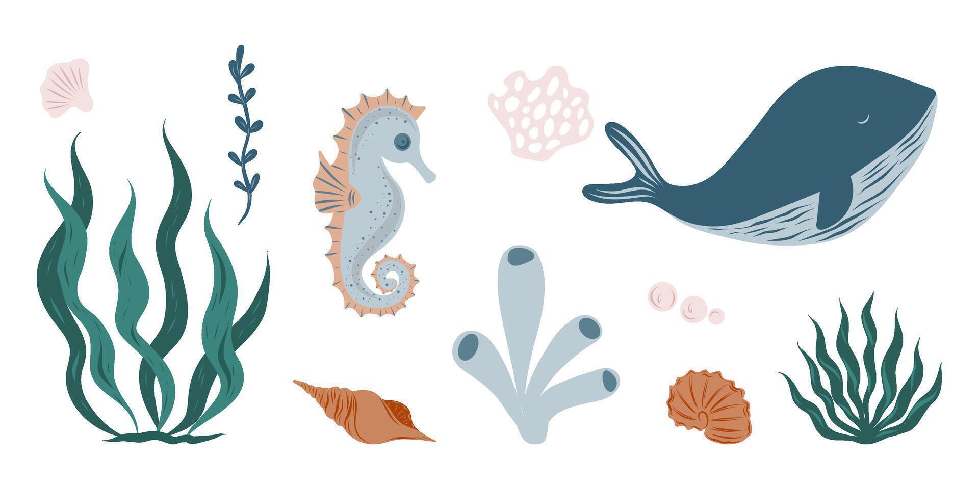 Marine animals, corals, plants, shells. Marine inhabitants of the underwater world. Underwater set, seahorse, whale vector
