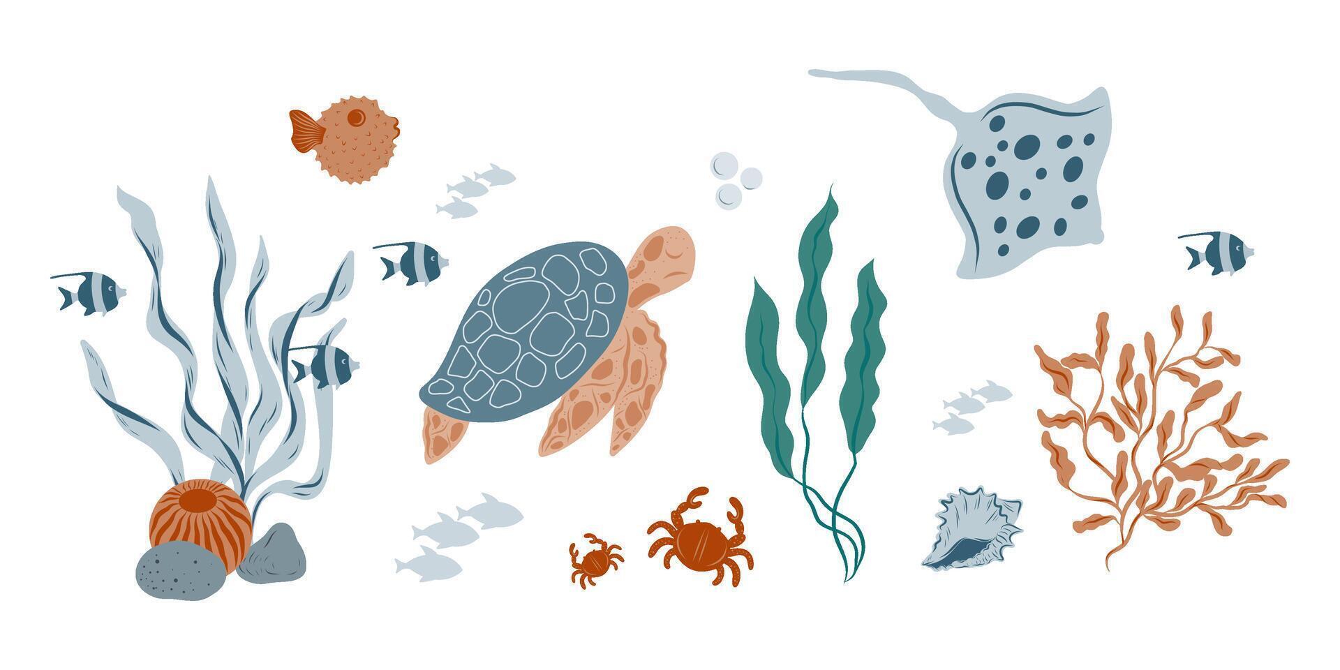 Marine algae, seaweed, corals, plants, shells, fish. Marine inhabitants of the underwater world. Underwater set, turtle, fish, stingray fish, fugue fish, crab vector
