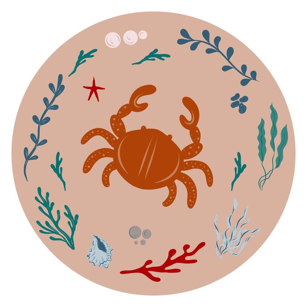 Crab surrounded by coral, starfish, algae, seaweed in a circle. Illustration in nautical style. vector