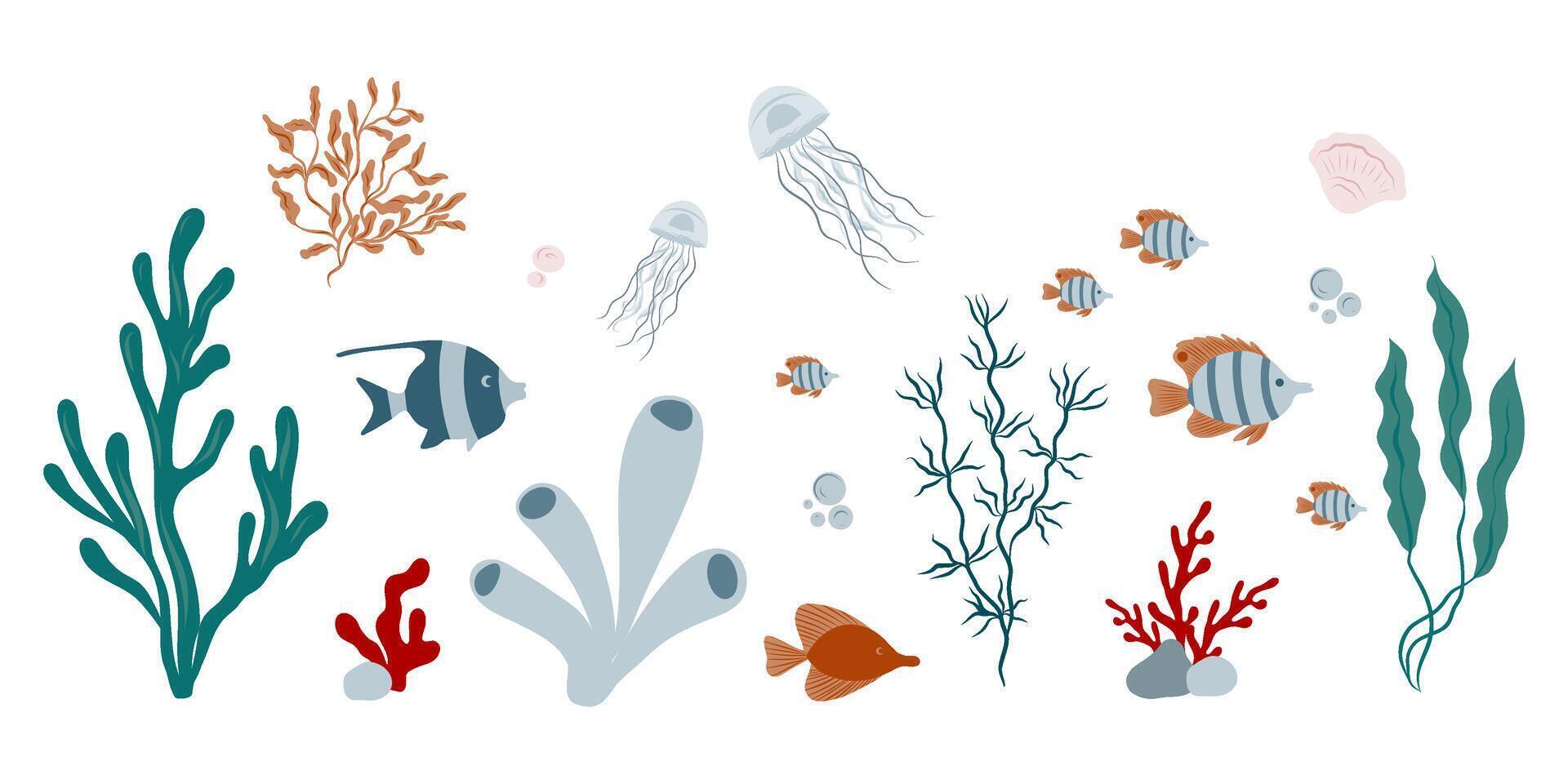 Marine algae, seaweed, corals, plants, shells, fish, jellyfish. Marine inhabitants of the underwater world. Underwater set vector